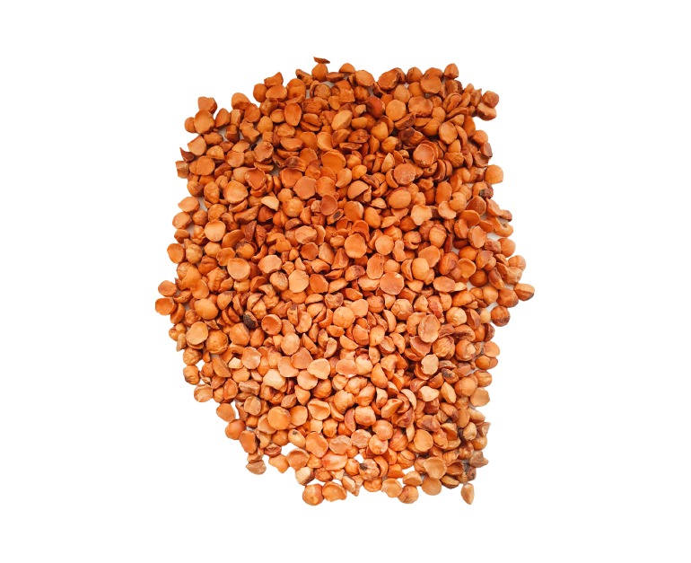 Avellana Chilena Bolsa 5 Kg